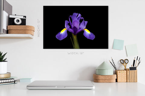 Impression sur toile - Iris violet #E0681