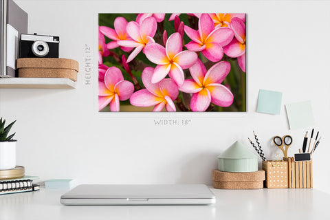 Impression sur toile - Fleurs de Plumeria rose #E0701