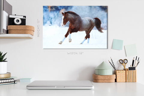 Impression sur toile - Cheval en hiver #E0898