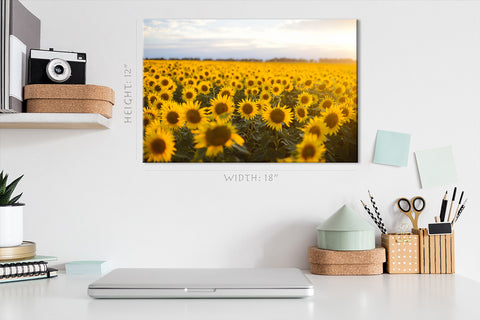 Canvas Print -  Golden Field Of Sunflowers #E0724