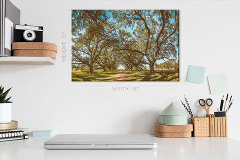 Canvas Print -  Oak Alley Plantation Panoramic View, Louisiana #E0960