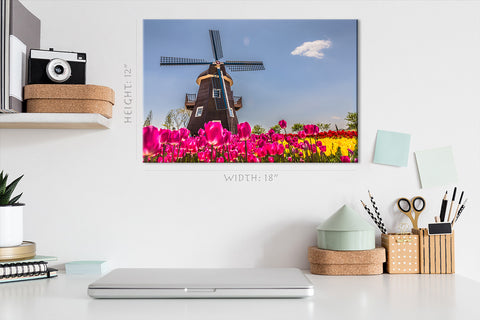 Impression sur toile - Champ de tulipes et moulin à bois #E0738