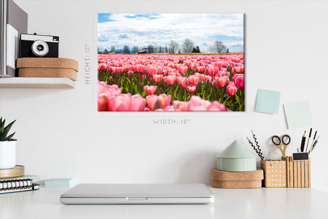 Impression sur toile - Champ de tulipes en fleurs au printemps #E0729