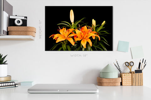 Canvas Print -  Wonderful Orange Lilies #E0691