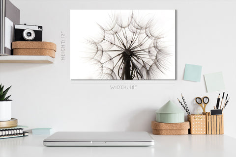 Canvas Print -  Beautiful Dandelion #E0815