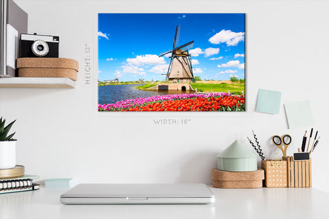 Canvas Print -  Tulip Flowerbed In Summer, Holland #E0746