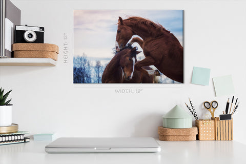 Canvas Print -  Portrait Of Two Playing Horses In Winter #E0917