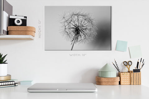 Canvas Print -  Dandelion Flower #E0814