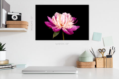 Impression sur toile - Merveilleuse pivoine rose #E0685