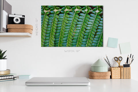 Canvas Print -  Fern Leaf #E0689