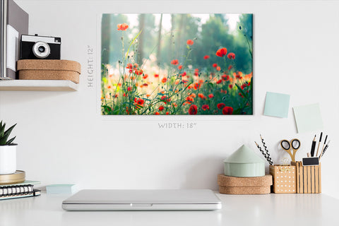 Canvas Print -  Early Morning Light At Red Poppies #E0627