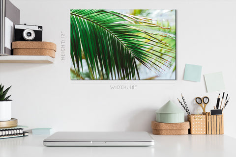 Canvas Print -  Morning Light At Green Palm Branch #E0714