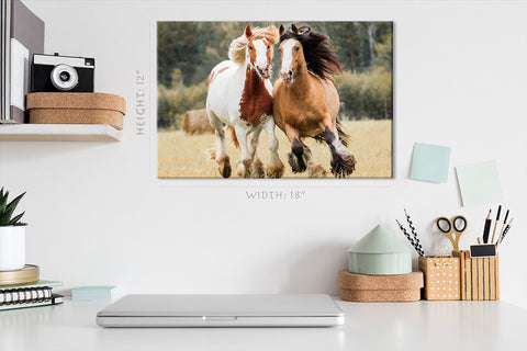 Canvas Print -  Horses Run Across The Field #E0895