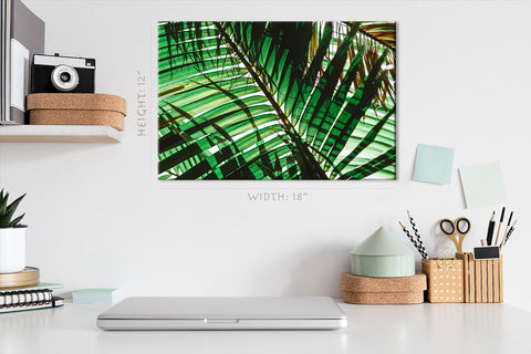 Canvas Print -  Green Palm Branch At Morning #E0725