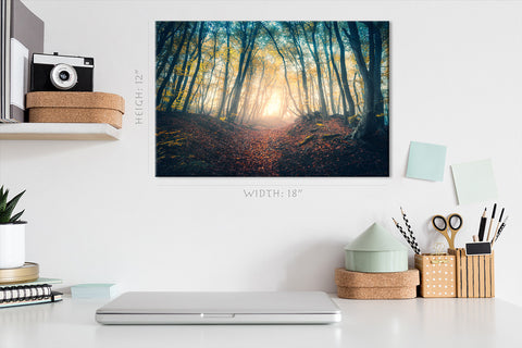 Canvas Print -  Scenery with trail in foggy forest #E0120