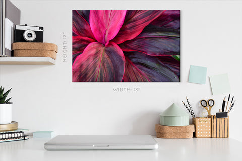 Canvas Print -  Leafs Of Spathiphyllum Cannifolium #E0646