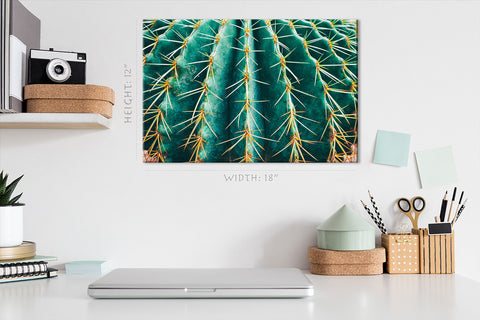 Impression sur toile - Cactus épineux #E0639