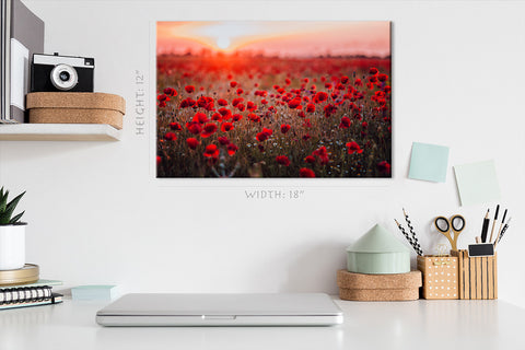 Canvas Print -  Fire Field Of Red Poppies At Sunset #E0629