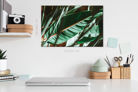 Canvas Print -  Sunlight At Green Palm Branches #E0656