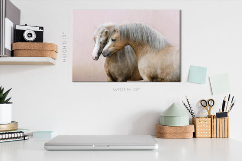 Canvas Print -  Two Welsh Ponies #E0904