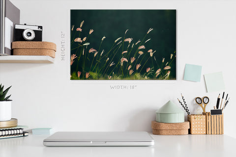 Impression sur toile - Fleurs d'herbe sur la pelouse #E0632