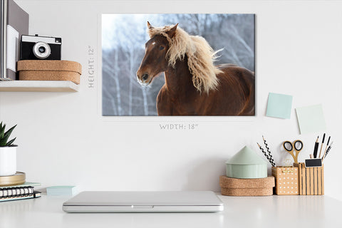 Canvas Print -  Brown Soviet Horse #E0905