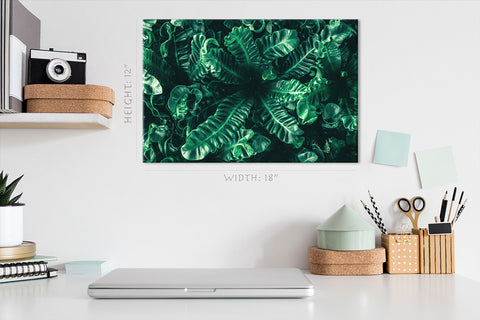 Canvas Print -  Tropical Green Foliage #E0824