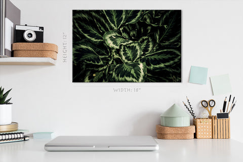 Canvas Print -  Tropical Green Leafs #E0821