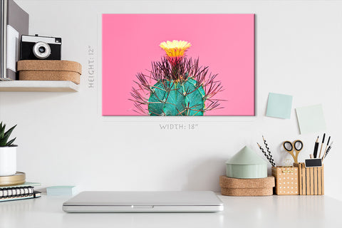 Canvas Print -  Blooming Cactus On Pink Background #E0805