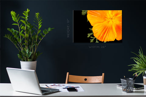 طباعة قماش - Orange Eschscholzia #E0677