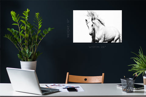 Impression sur toile - Cheval Arabe Blanc #E0911