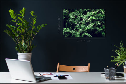 Canvas Print -  Fern Leafs #E0822