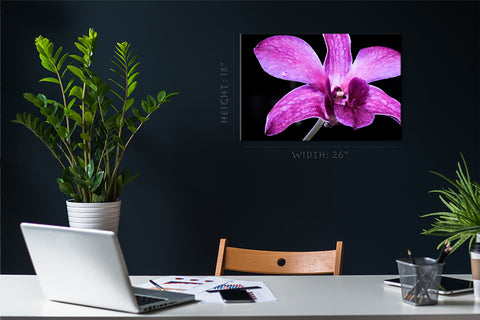 Canvas Print -  Pink Orchid #E0663