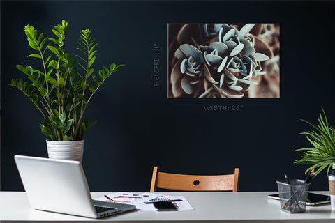 Canvas Print -  Green Succulent Plant #E0717