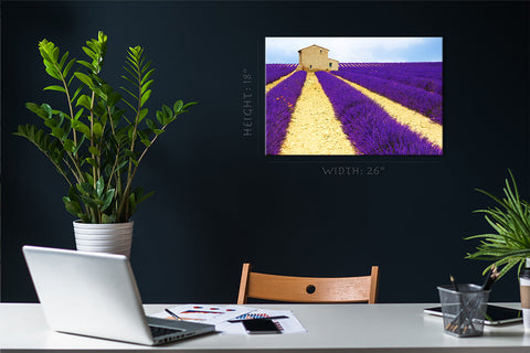 Canvas Print -  Beautiful Lavender Field #E0749