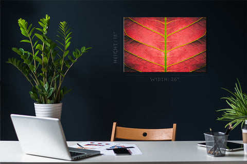 Canvas Print -  Autumn Red Leaf #E0648