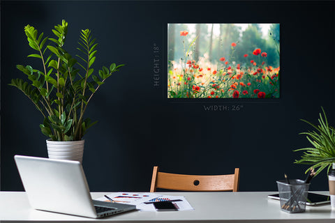 Canvas Print -  Early Morning Light At Red Poppies #E0627