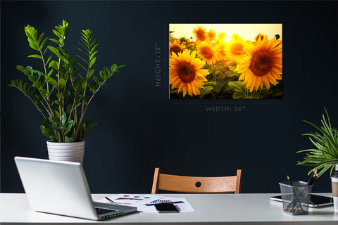 Canvas Print -  Sunflower Field At Sunrise #E0733