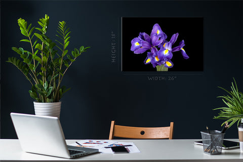 Impression sur toile - Bouquet d'iris violets #E0690