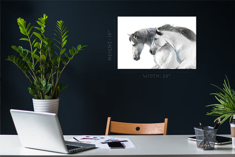 Impression sur toile - Portrait de chevaux blancs #E0896