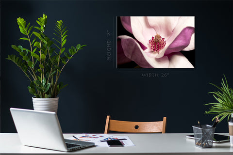 Canvas Print -  Light Pink Magnolia #E0693