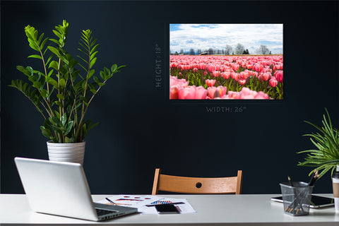 Impression sur toile - Champ de tulipes en fleurs au printemps #E0729