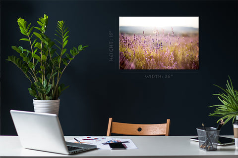 Canvas Print -  Lavender Field At Morning #E0790