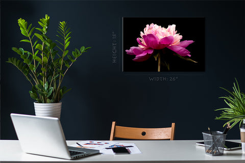 طباعة قماش - Pink Peony #E0692