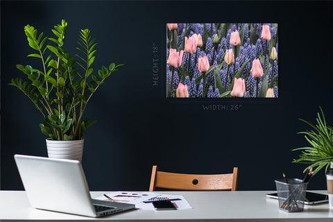 Impression sur toile - Tulipes roses et jacinthes muscari #E0754