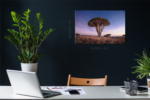 Canvas Print -  Dragon Blood Tree At Sunrise #E0963