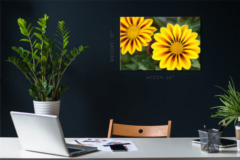 Canvas Print -  Gazania Tropical Flower #E0696