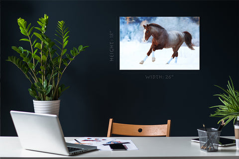 Canvas Print -  Horse In Winter #E0898