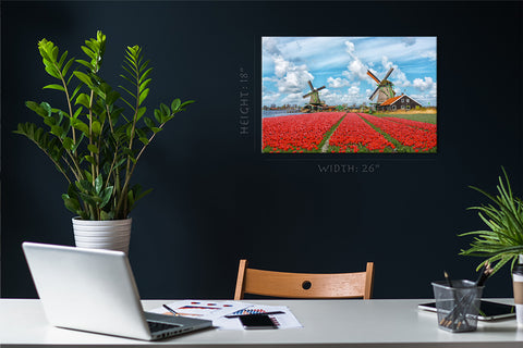 Canvas Print -  Field Of Red Tulips, Holland, Netherlands #E0751