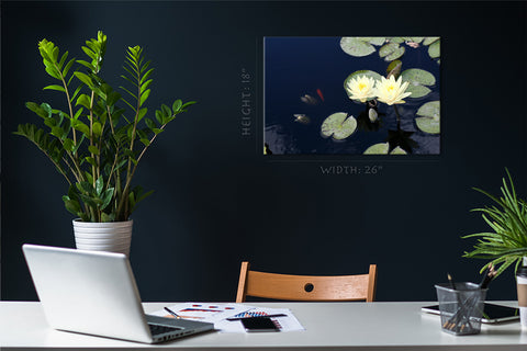 Canvas Print -  Water Lilies #E0827